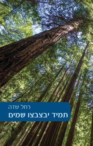 תמיד יבצבצו שמיים