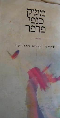 משק כנפי הפרפר