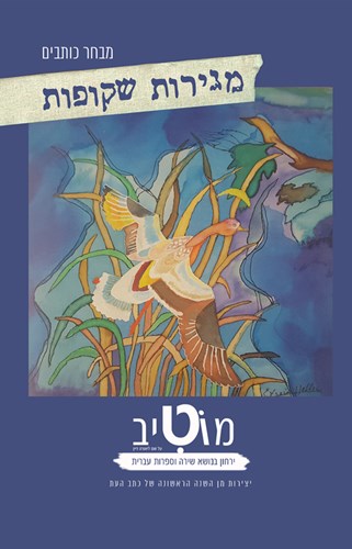מגירות שקופות